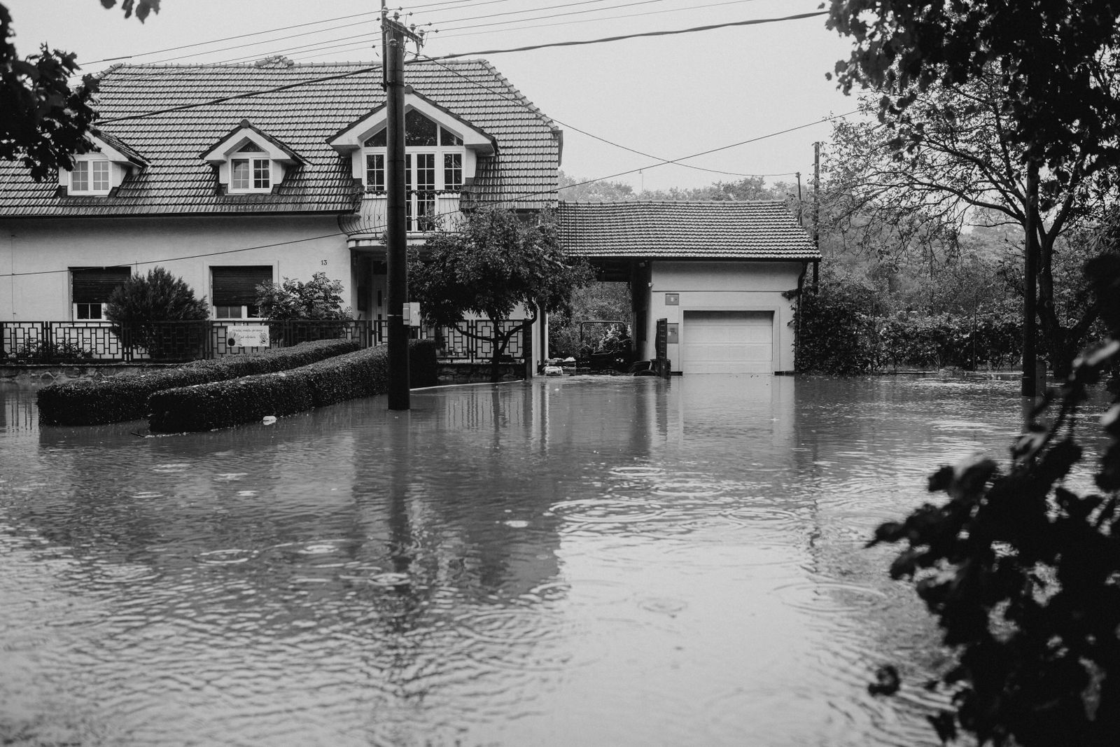 Water Damage Restoration Service Near Me: Professional Home Recovery